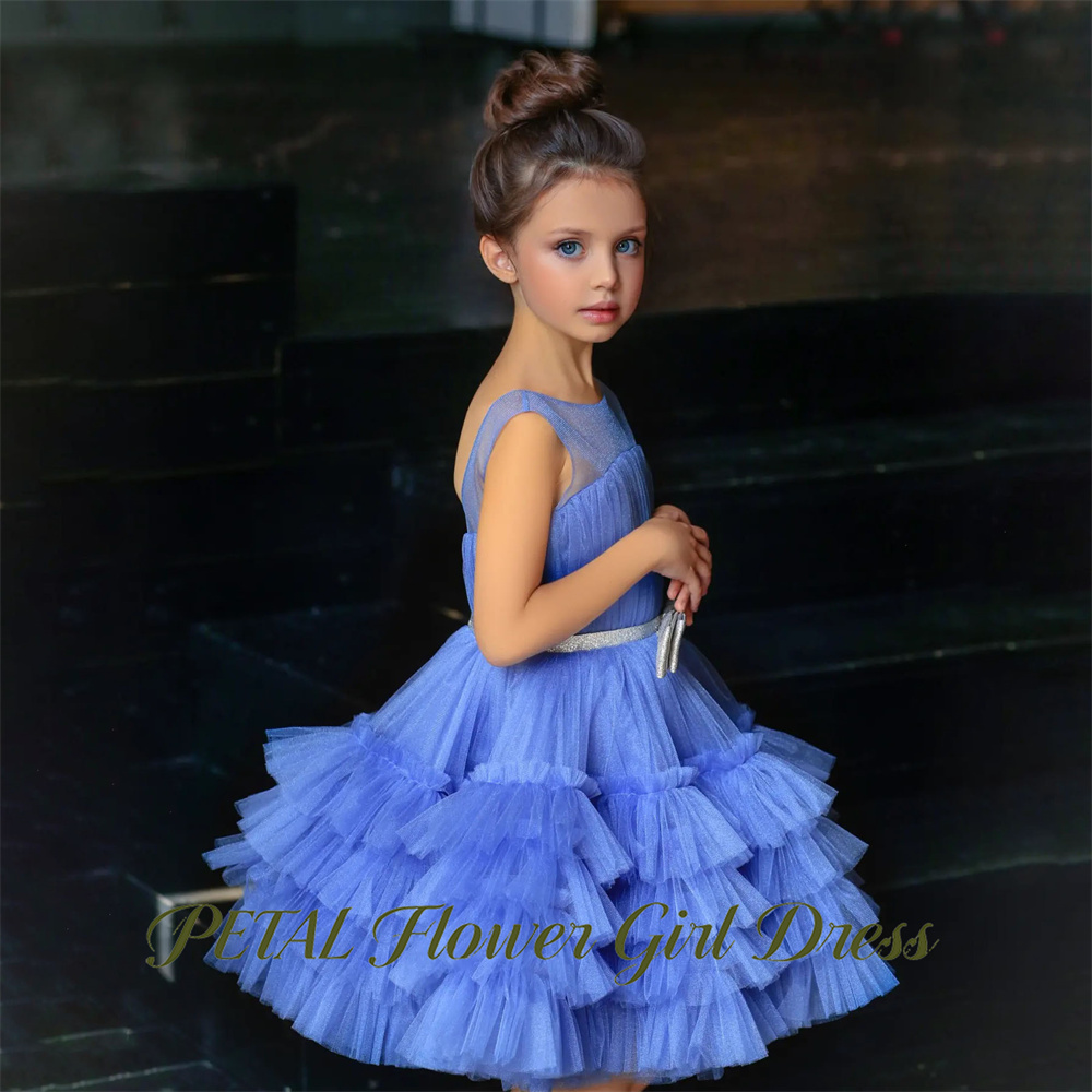 Robe de princesse bleue sans m - Birthday Sash Glitter avis et prix